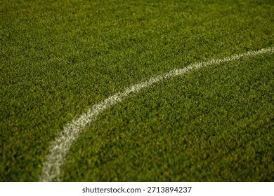 绿茵场上的法甲足球 - 开云电竞